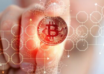 World’s Leading Bitcoin Holders